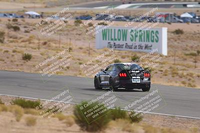 media/Oct-25-2025-West Coast Racing (Sat) [[9fdcbcd09c]]/Blue group/Turn 3/